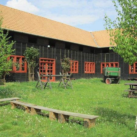 Hotel Nyirfaliget Lovaskemping Es Turistahaz Nyíregyháza Exterior foto